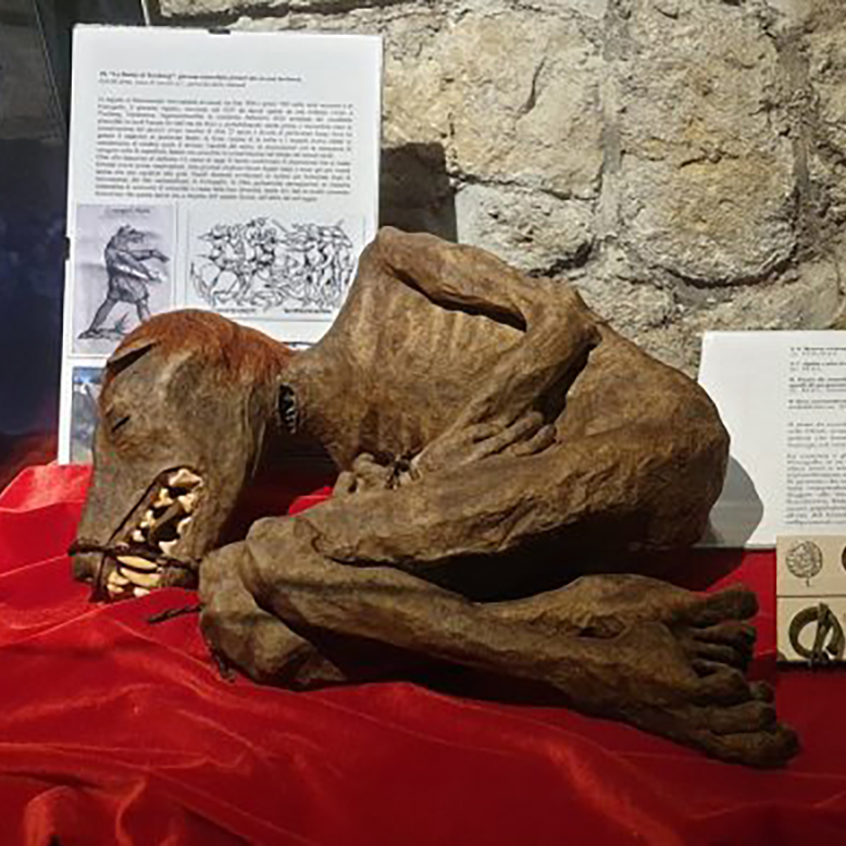 museo dei vampiri e licantropi